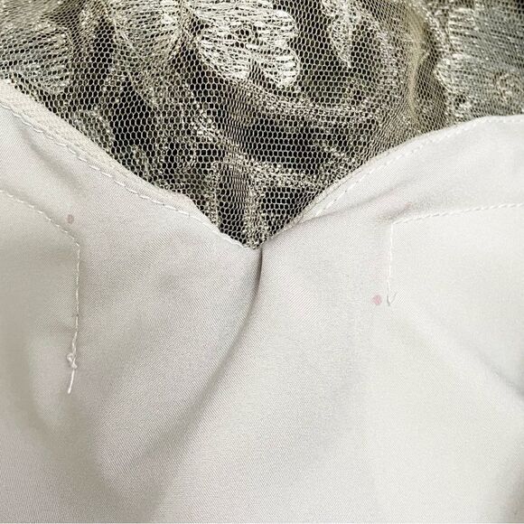 NWT JS Collections Size 8 Lace Embroidered Sheath Dress Taupe Illusion Overlay - Picture 13 of 14